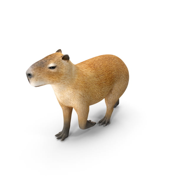 Capybara Click and Drag